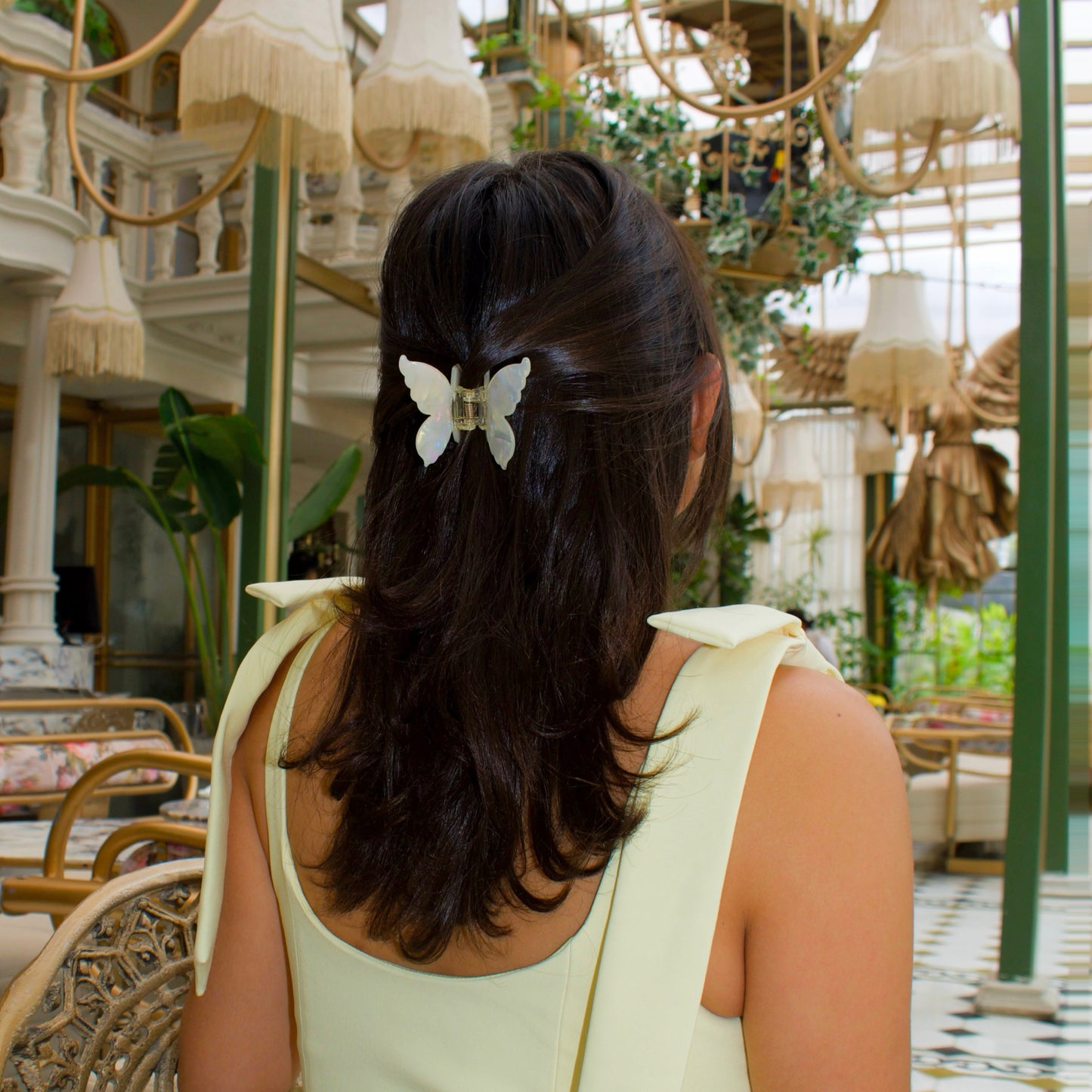 Mariposa de acetato