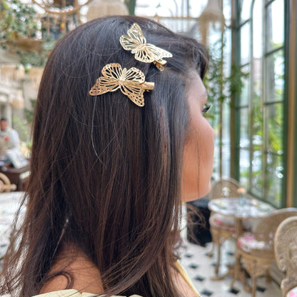 Clips mariposas